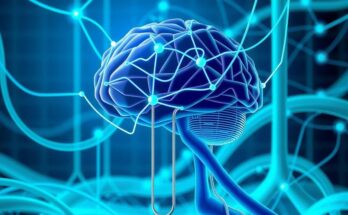 AI-Powered Brain-Computer Interfaces: A New Era of Intelligence Enhancement 1 11d255a1 5300 4c03 bf5a 9e644e8ec453